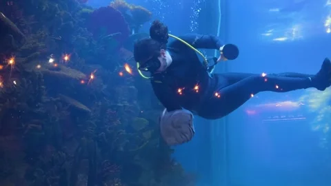 A diver cleans a large aquarium with fish.  Video stock 311074148