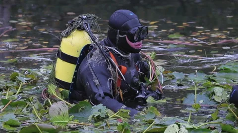 Diver cleans pond from debris Stockbeeldmateriaal 232915848