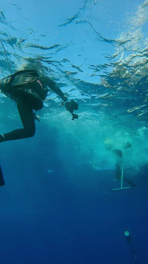 Diver climbing ladder onto diving boat, next scuba diver waiting for his turn Stock Footage 295920341