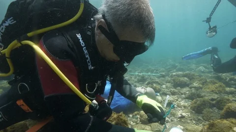 Diver in close-up closes casing with bloody knife, Ustica, Mediterranean sea Stock Footage 124323649