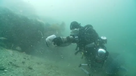 Diver &amp; conger eel 3 Video stock 12501626