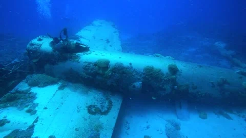 A diver is in control of the wreck of a World War II aircraft. Stock Footage 325733280