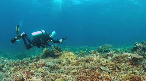 Diver on a coral reef with plenty fish 4k Stock Footage 62592953
