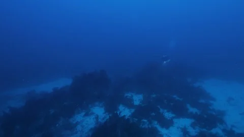 Diver crosses the rocks at the bottom of the sea, Ustica, Mediterranean sea Stock Footage 126751236