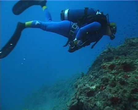 Diver (D195e) 動画素材 150528