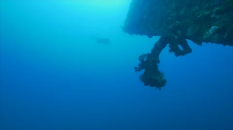 Diver deep on wreck Video stock 58381260
