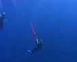 Diver deploying a surface marker - underwater view SD Footage