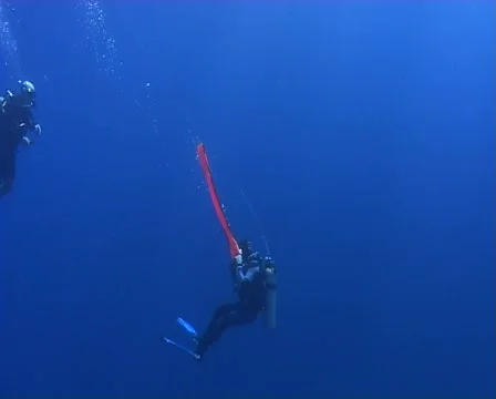 Diver deploying a surface marker - underwater view Stock Footage 459490