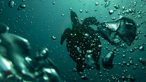 Diver Descending Through Bubbling Waters Stock Photos