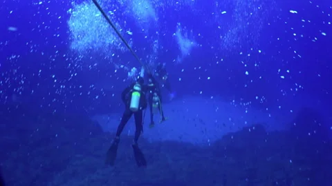 Diver descends by cable to bottom of ocean. Video stock 232775076