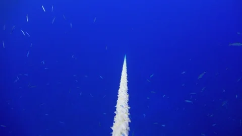 Diver Descends Using a Rope to Depth Stock Footage 93911014