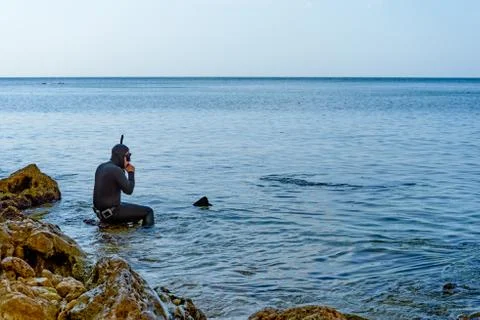 The diver before the dive Stock Photos