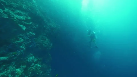 Diver dives calmly underwater looking at nature of ocean Stock Footage 305963677
