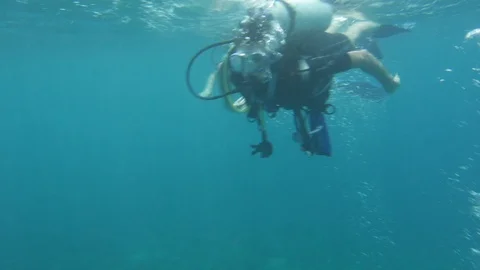 Diver Dives In The Water Towards Two Other Divers Stock Footage 125802981