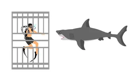 Diver in diving cage observing a great white shark vector Иллюстрация