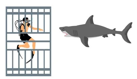 Diver in diving cage observing great white shark Stock Illustration