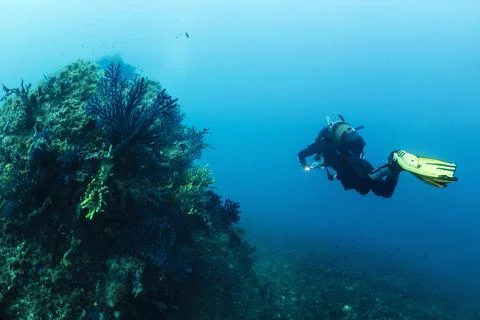 Diver diving next to a rock covered in coral Stock Photos
