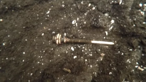 Diver documents a Bronze Age garment pin in Mostkovice in the Tollense Valley 1 Stock Footage 300107556