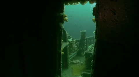 Diver door way Stock-Footage 12553074