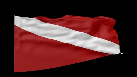 Diver down scuba flag over black 3d animation Stock Footage 99105268