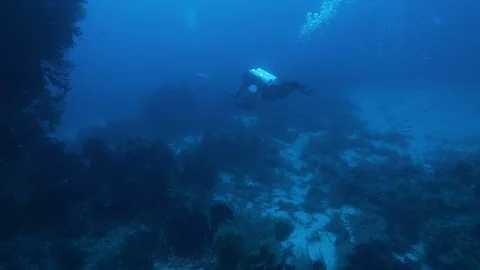 Diver with DPV explores the bottom of the sea, Ustica, Mediterranean sea Stock Footage 125525365