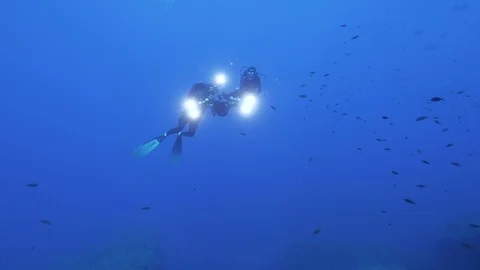 Diver with DPV next to another diver picks up a school of damselfish, Ustica Stock Footage 126812624