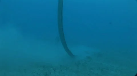 Diver Dredging Ocean Floor with Boat Overhead Stock Footage 5337337