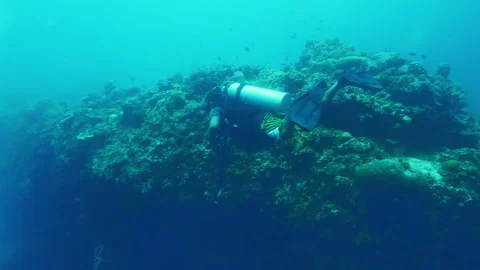 Diver encounters diverse underwater ecosystem in depths Stock Footage 305962050