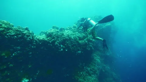 Diver encounters stunning array of textures and colors Stock Footage 305959031