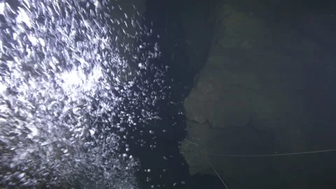 Diver enters in the rift between two rocks on the bottom 's cave Amaseno Italy Stock Footage 224333928