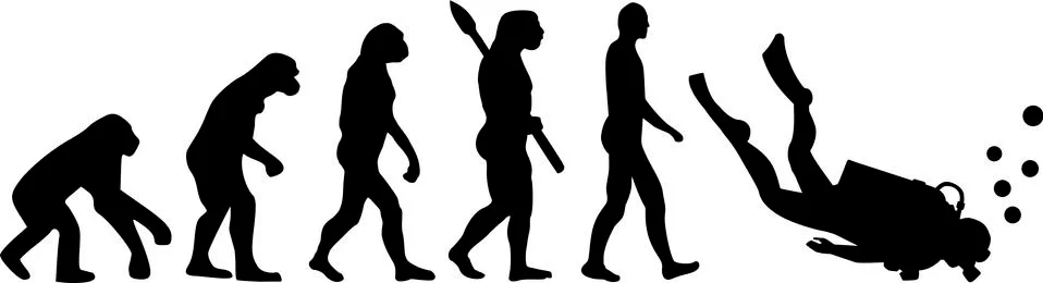 Diver Evolution Stock Illustration