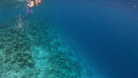A diver explores the clear blue waters of the Maldives Video stock 286106028
