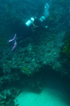 Diver explores a ledge leading to a cave Stock Photos