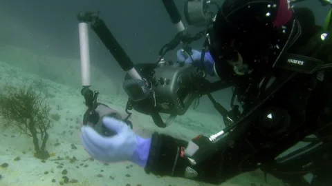 Diver Explores Marine Life Using Underwater Camera Equipment Video stock 321061945