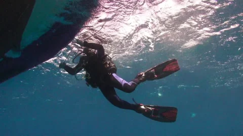 Diver explores underwater off the coast of La Palma Canary Islands Stock Footage 312098352