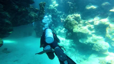 Diver exploring coral reef in clear blue water 스톡 동영상 312440293