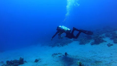 A diver exploring coral reef Stock Footage 129032711