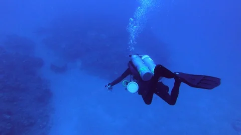 A diver exploring coral reef Stock Footage 129034500