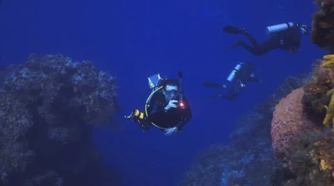 Diver exploring Cozumel reef Видео 1068561