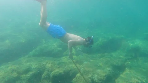 Diver Exploring Rocky Underwater Landscape in Clear Aquatic Habitat Stock Footage 304793290
