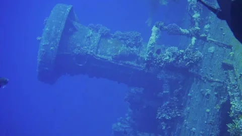 Diver exploring shipwreck in deep sea Stock Footage 241086496