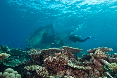 Diver exploring underwater shipwreck. Stock Photos