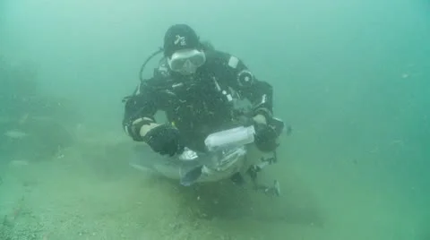 Diver feeds conger 2 Stock Footage 12499642