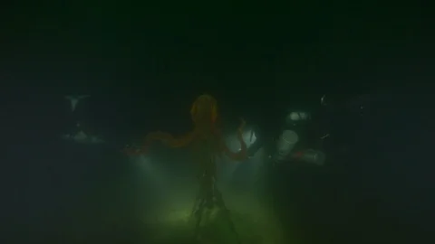 Diver finds sculpture of an octopus at the bottom of the lake, Trevignano lake Stock Footage 104452359
