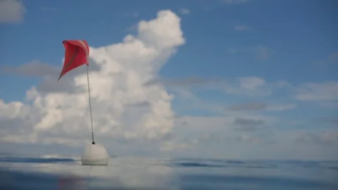 Diver Flag in the ocean at the surface Stock Footage 84225095