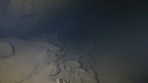 Diver with flashlight explores the rocks of the underwater cave,Amaseno,Italy Stock Footage 224716245