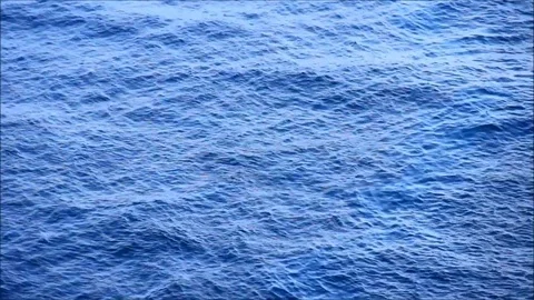Diver floating in a calm sea Stock Footage 77862848