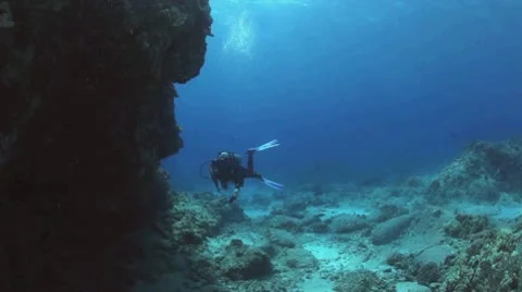 Diver Fly By Stock Footage 10733421