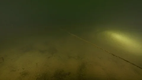 Diver following guide line at the bottom of the lake, Albano lake, Italy Video stock 107670754