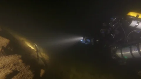 Diver follows eel from the lake with torch, Albano lake, Italy Stock-Footage 104578609